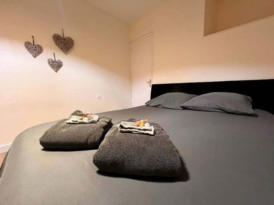 Appartement Climatise 4Prsn Au Pied De La Citadelle Безансон Екстер'єр фото