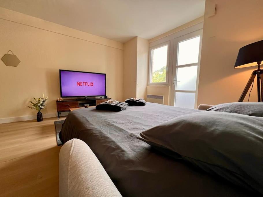 Appartement Climatise 4Prsn Au Pied De La Citadelle Безансон Екстер'єр фото